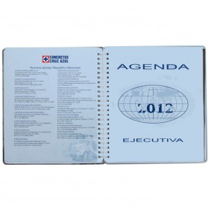 Agendas ejecutivas 2024 - 2025