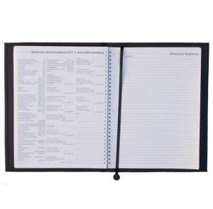 Agendas ejecutivas