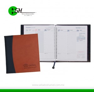 Agendas grabadas 2024 - 2025