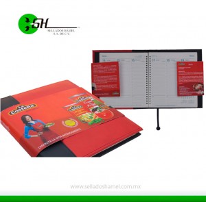 Agendas personalizadas 2024 - 2025