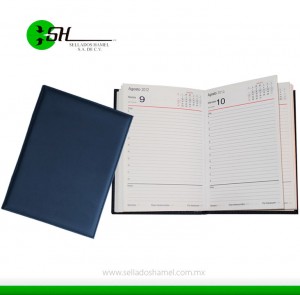 Agenda memorandum 2024 - 2025