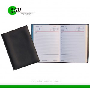 Agendas diaria 2024 - 2025