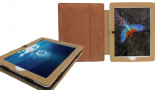 Ipad Case